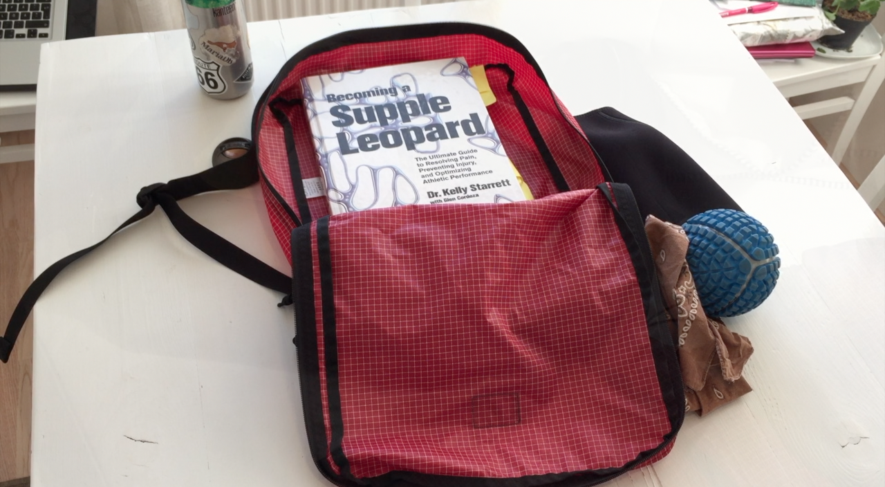 Packing Cube Backpack Review from Tom Bihn Pie on the Trail